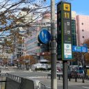 에스더블유조경 이미지