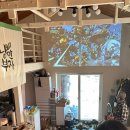 명은농장 | 철이 없었죠, 심심할 것 같아서 귤농장에 갔다는 게…｜10박 11일 제주농부로 살아보기