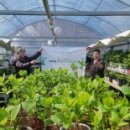 갈매농장 이미지