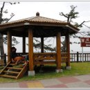 통나무집 포구가는길 이미지