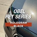 강남랩핑 벤츠 랩핑 OBEL HOLOGRAM BLACK 홀로그램 블랙 후기