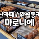 완월동273 이미지