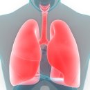 ＜ 폐에 쌓인 독소를 정화하는 방법 8가지 ＞ 이미지