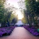 한국대나무박물관 이미지