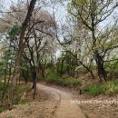 동학산근린공원 이미지