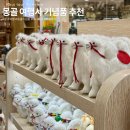 에덴선물나라 | 몽골여행 기념품 초콜릿 여나투어 후기 여행사 추천