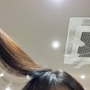 엠에이치알 | 송파역 미용실 추천 에이치플레이스 송파헬리오시티점 톤다운염색