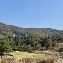 블루헤런골프장화장실 | 모든 홀이 시그니처인 블루헤런 라운딩 후기