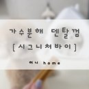 빅덴탈 | 시그니처바이 가수분해 덴탈껌 | 스토모액트 프리벤티스 | 내돈내산