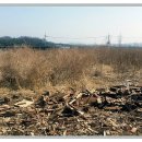 풍세카센타 이미지