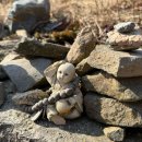 상촌새말길 이미지