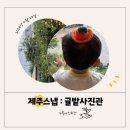 귤밭사진관