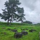 퓨전 플라멩코 옴팡 이미지