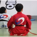 태풍태권도 이미지