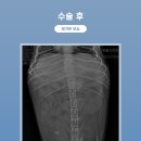 매탄동물병원 이미지