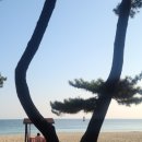 공영주차장 둘레 이미지