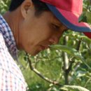 김영제농장 이미지