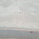 청포대휴야영장 이미지