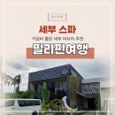 세주마트 | 세부 막탄 마사지 골드문스파 픽드랍 예약 할인방법 후기