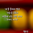 축제의땅 티스토리
