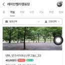 [완주] 래미안밸리 캠핑장, 33번싸이트, 나무그늘, 계곡 캠핑장