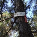 오금1리 이미지