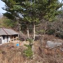경남 하동군 청암면 깊은골 작은 마을 낡은 농가주택!! 이미지