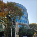 분당분당-A-20 | 분당제일여성병원 22주 2차 정밀초음파 후기 | 임신 22주 태아 검사 완벽 정리