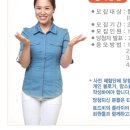 플라이비