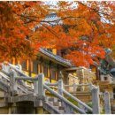 불국사 - 1655 | 불국사