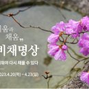 비채우리