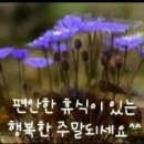 28 당구클럽 이미지