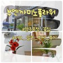 옥빛중학교 | 양주옥정 꽃집 부엔까미노플라워 셀프 부케 서브부케 웨딩촬영 후기