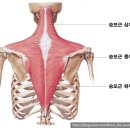 다이아몬드헬스 이미지