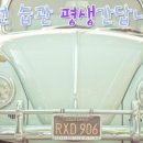 X프로젝트운전도우미