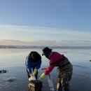 11월15~17일 특별여행 Ocean Shores “Razor clam &amp; 낚시 이미지