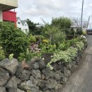 황금여관 이미지