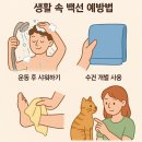 백선세탁 이미지