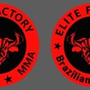 엘리트체육관 이미지