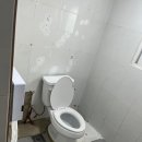 강원도 영월 월드니스 오토캠핑장 후기