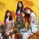 에이리얼 - 중구 | 에이리얼