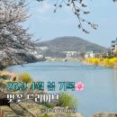 씨유나눔광주초월점 | 블로그씨_26년 4월 봄 벚꽃 기록하기