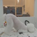 PUPPYSUN/퍼피썬 애견미용실 | 퍼피썬/PUPPYSUN/천안애견미용/비숑미용/꼬미