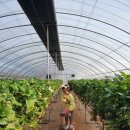 태광염소 이미지