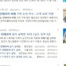 송암스포츠타운 빙상장 이미지