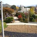 팔렬중학교 이미지