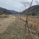 광주대주유소 이미지