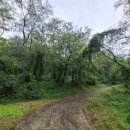 갈곡 연정 이미지