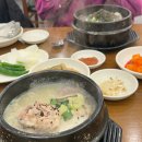 백년백세전통삼계탕 | [온천장 맛집] 백년백세토종 삼계탕에서 든든한 보양식 후기
