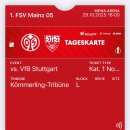 독일 DFB 포칼컵 FSV 마인츠 05 vs VfB 슈투트가르트 직관 후기
